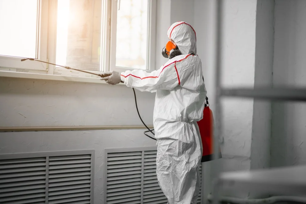 Professional mold remediation services in Horace, ND